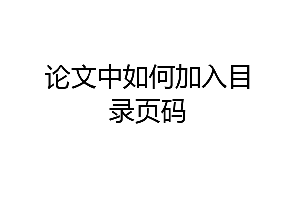 论文中如何加入目录页码