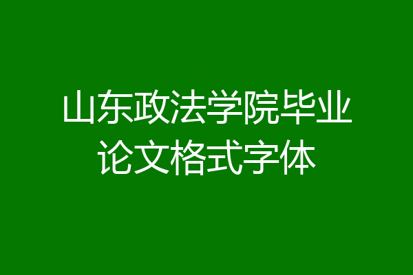 山东政法学院毕业论文格式字体