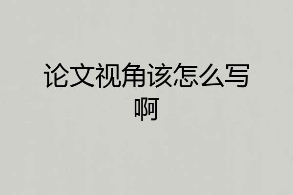 论文视角该怎么写啊