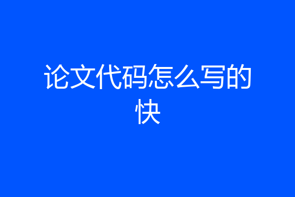 论文代码怎么写的快