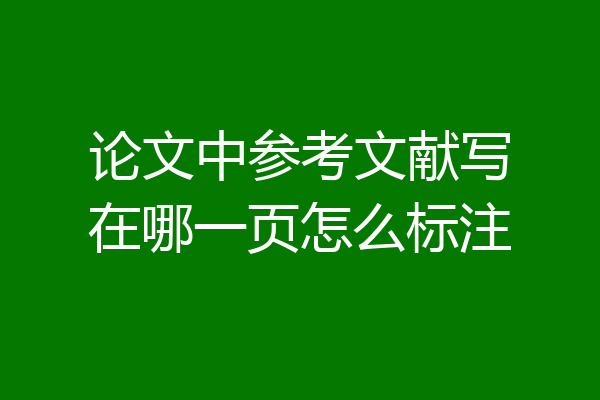 论文中参考文献写在哪一页怎么标注