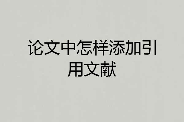 论文中怎样添加引用文献