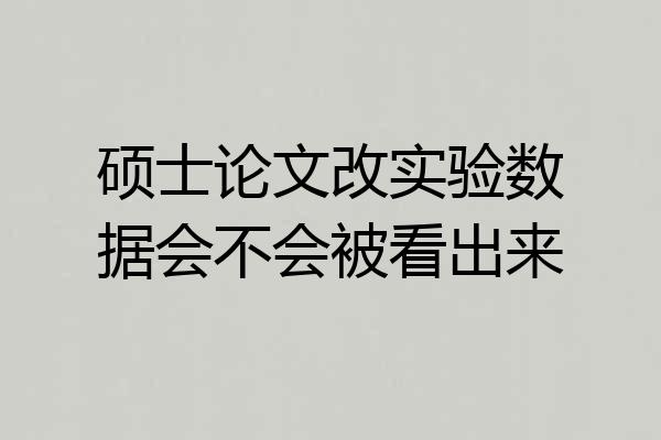 硕士论文改实验数据会不会被看出来