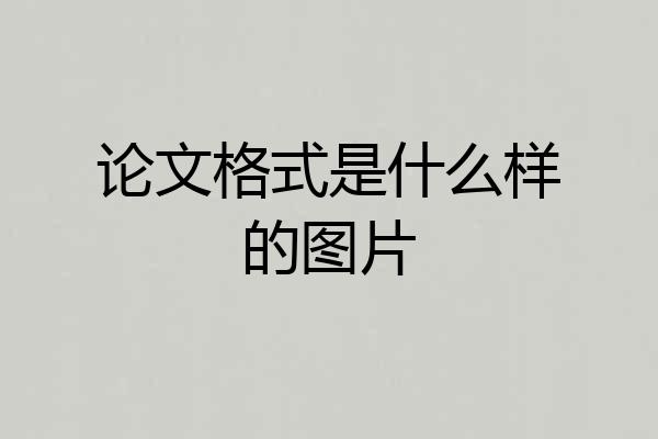 论文格式是什么样的图片
