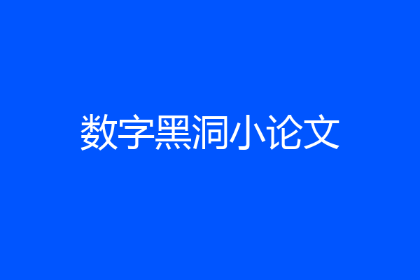 数字黑洞小论文