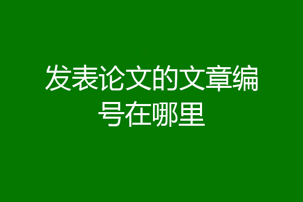 发表论文的文章编号在哪里