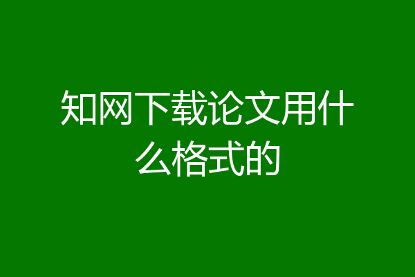知网下载论文用什么格式的