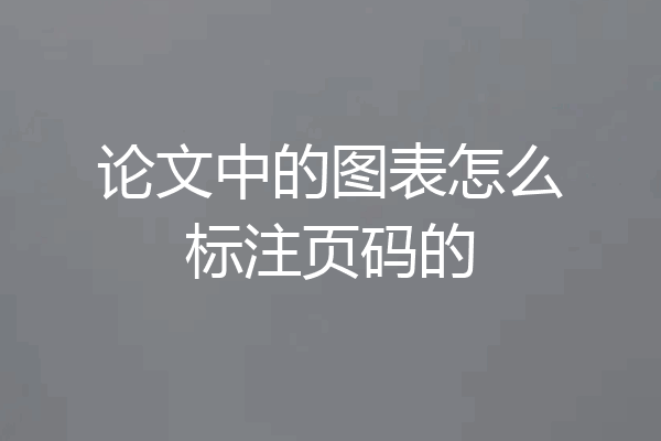 论文中的图表怎么标注页码的