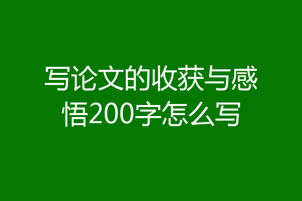写论文的收获与感悟200字怎么写