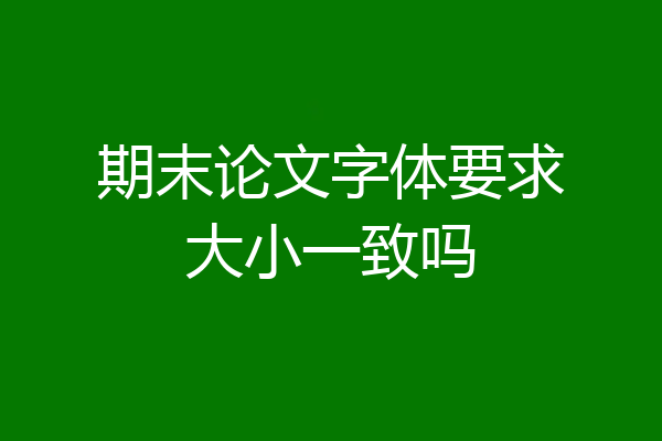 期末论文字体要求大小一致吗