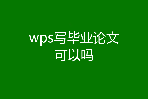 wps写毕业论文可以吗