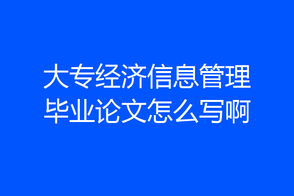 大专经济信息管理毕业论文怎么写啊