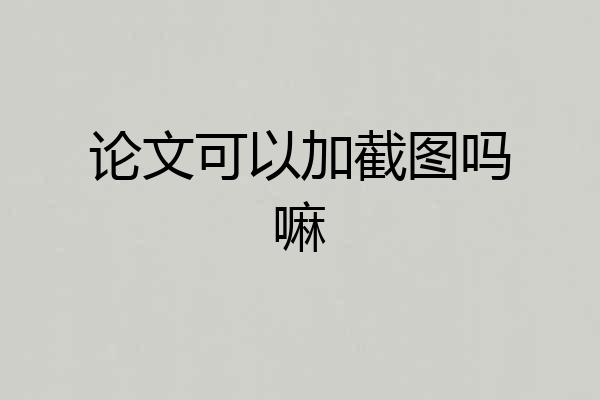 论文可以加截图吗嘛