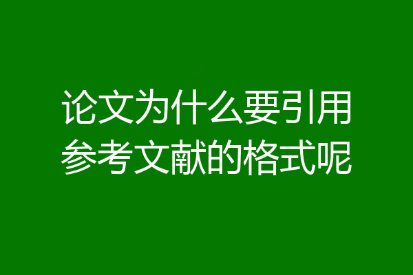 论文为什么要引用参考文献的格式呢