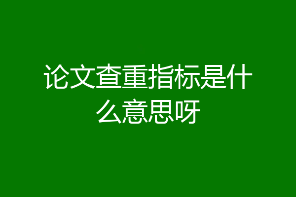 论文查重指标是什么意思呀