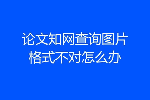 论文知网查询图片格式不对怎么办
