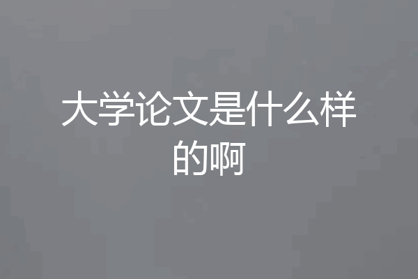 大学论文是什么样的啊