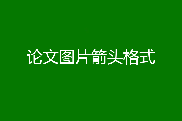 论文图片箭头格式