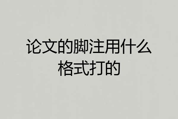 论文的脚注用什么格式打的