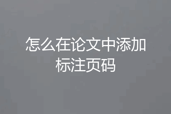 怎么在论文中添加标注页码
