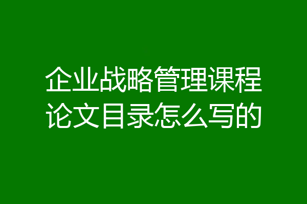 企业战略管理课程论文目录怎么写的