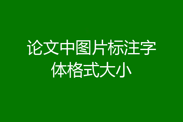 论文中图片标注字体格式大小