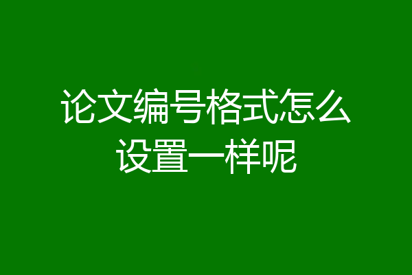 论文编号格式怎么设置一样呢