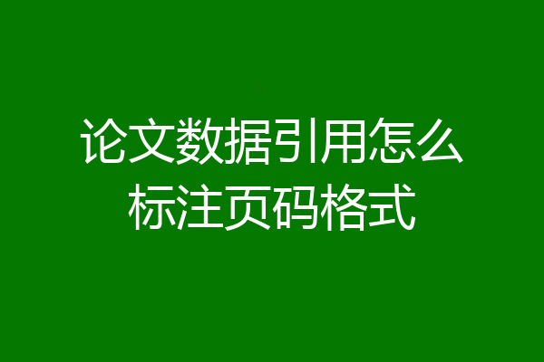论文数据引用怎么标注页码格式
