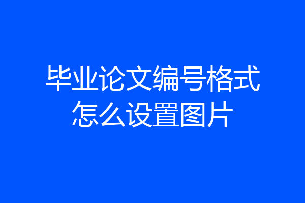 毕业论文编号格式怎么设置图片
