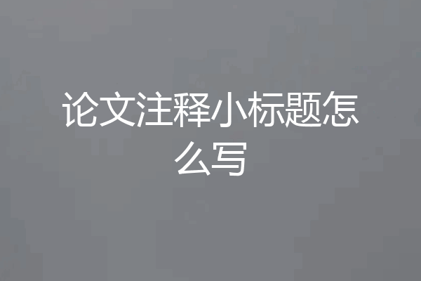 论文注释小标题怎么写
