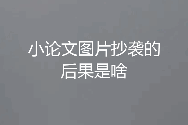 小论文图片抄袭的后果是啥