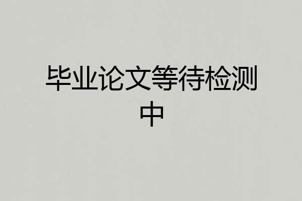 毕业论文等待检测中