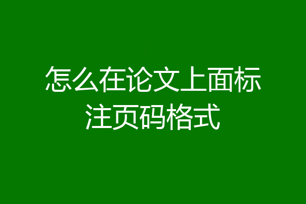 怎么在论文上面标注页码格式
