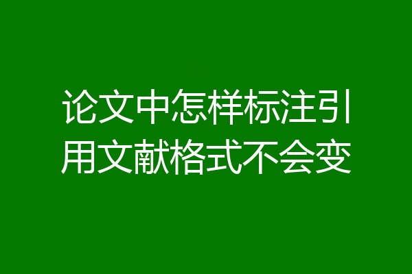 论文中怎样标注引用文献格式不会变