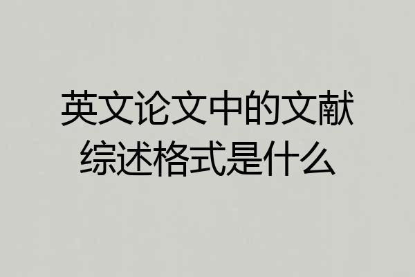 英文论文中的文献综述格式是什么