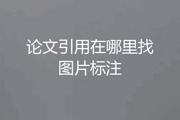 论文引用在哪里找图片标注