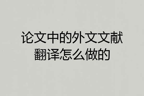 论文中的外文文献翻译怎么做的