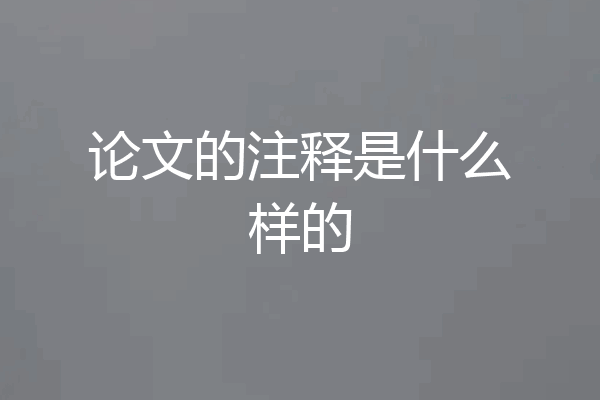 论文的注释是什么样的
