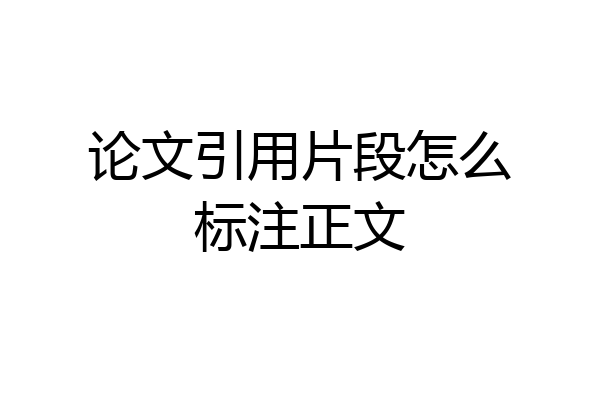 论文引用片段怎么标注正文