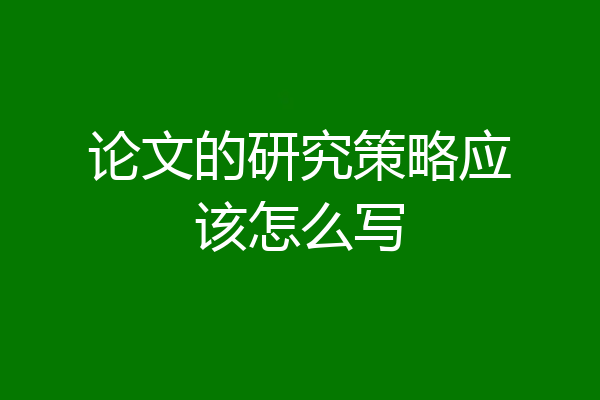 论文的研究策略应该怎么写