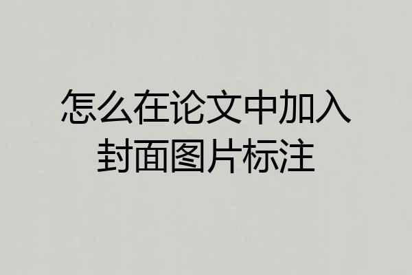 怎么在论文中加入封面图片标注