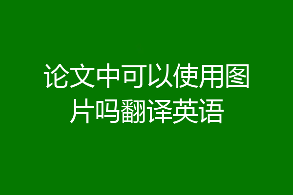 论文中可以使用图片吗翻译英语