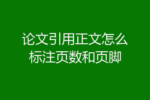 论文引用正文怎么标注页数和页脚