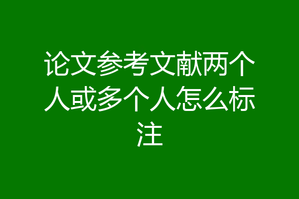 论文参考文献两个人或多个人怎么标注