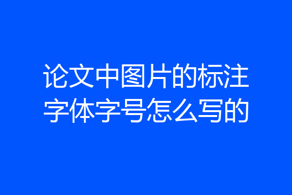 论文中图片的标注字体字号怎么写的