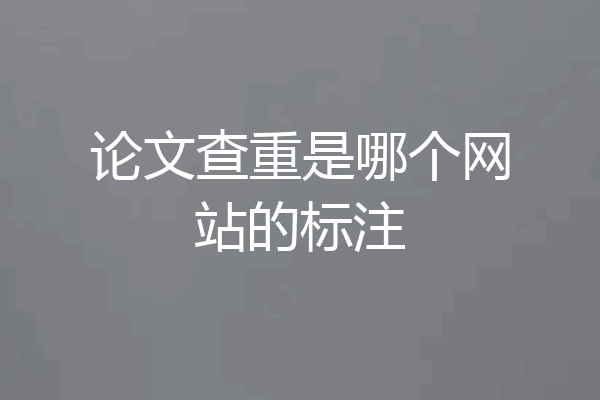 论文查重是哪个网站的标注