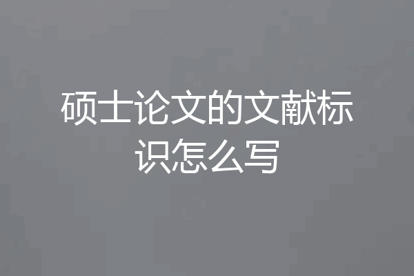 硕士论文的文献标识怎么写