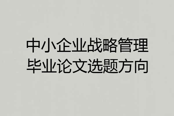 中小企业战略管理毕业论文选题方向