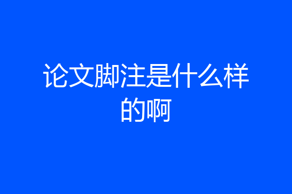 论文脚注是什么样的啊