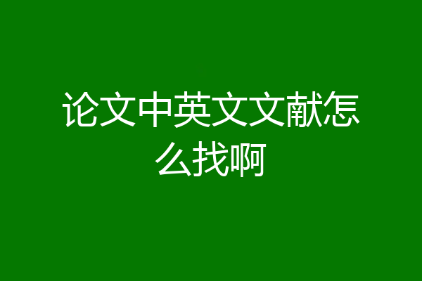 论文中英文文献怎么找啊